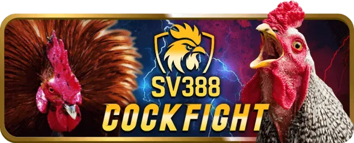 Người chơi cá cược thể thao trực tiếp trên điện thoại di động tại s888 game